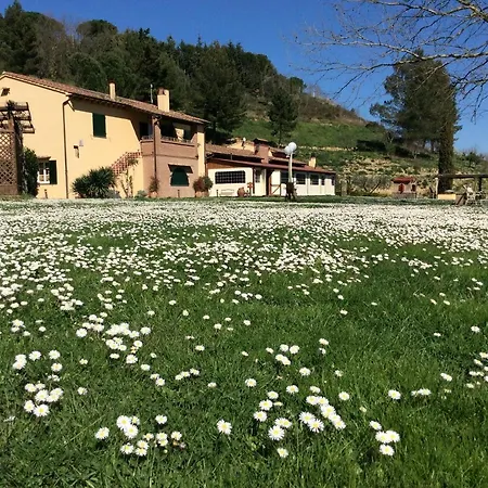 Podere Bucine مزرعة للإقامة *