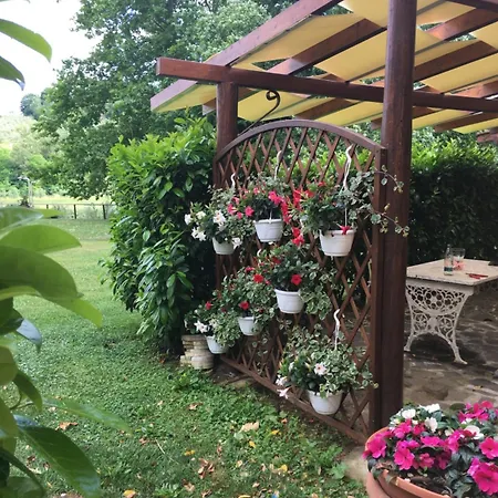Podere Bucine Farma