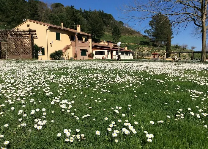 Podere Bucine مزرعة للإقامة *
